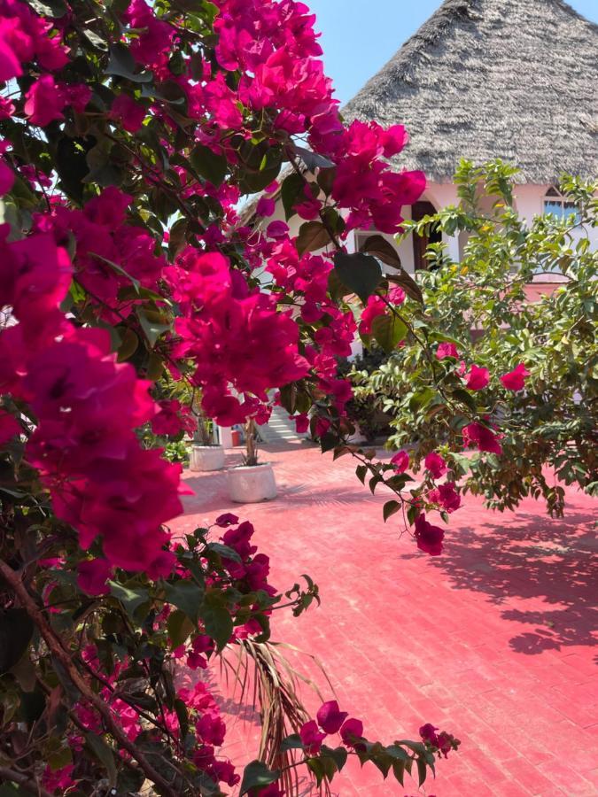 Villa Euphoria - Adults Only Paje Exteriör bild