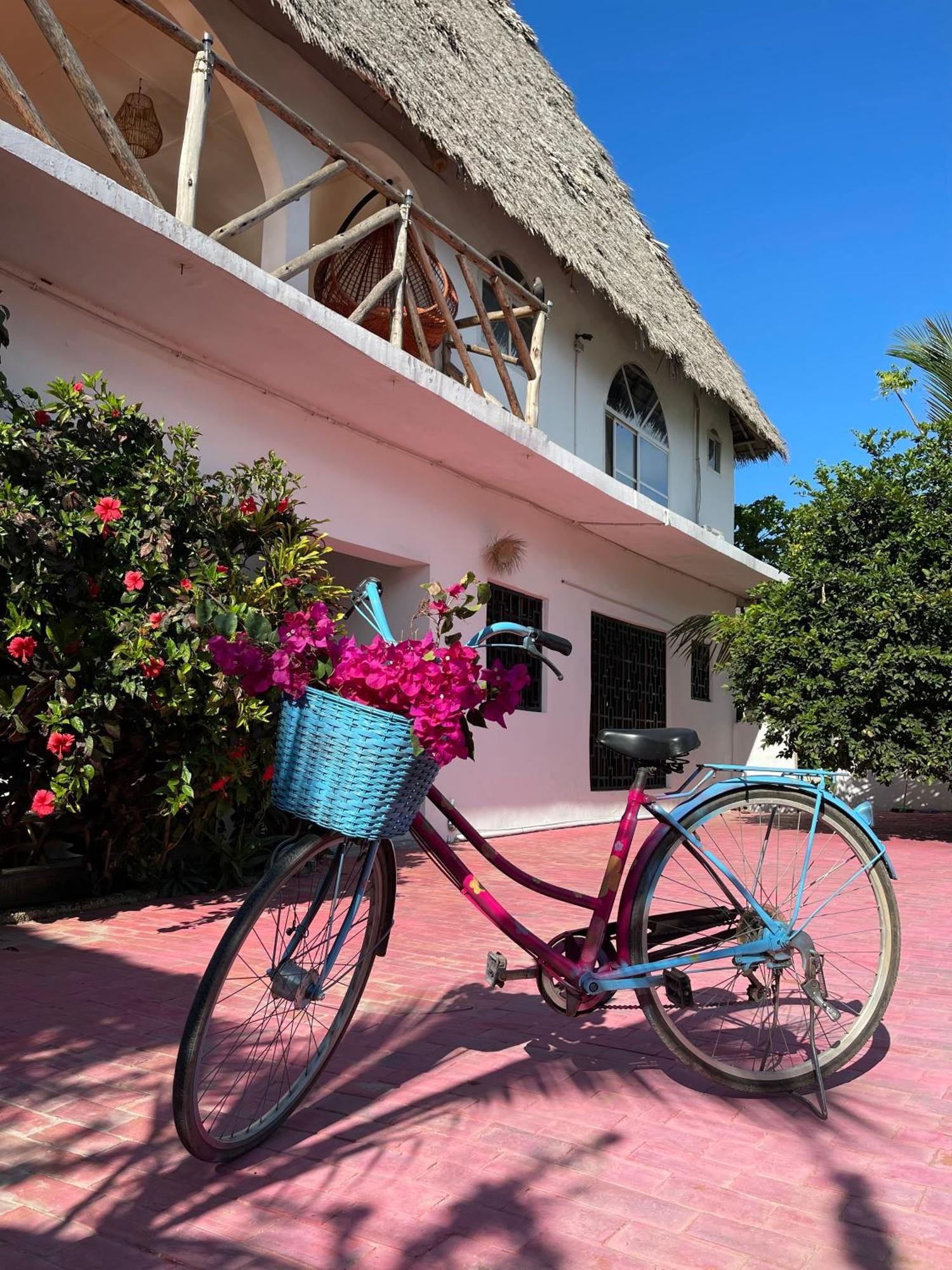 Villa Euphoria - Adults Only Paje Exteriör bild